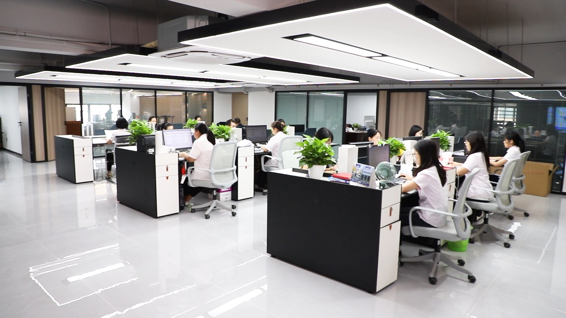 T-One project support team working in the office